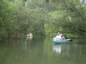 Kenuzás a Bodrog folyón a Bodrog vízitúra alkalmával.