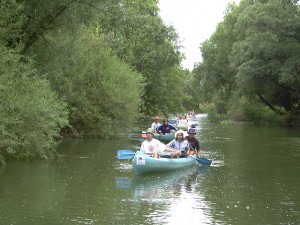 Kenuzás a Bodrog folyó magyar szakaszán a Bodrog vizitúránk alkalmával.