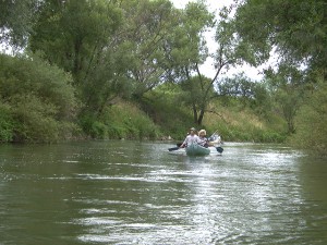 Kenuzás a Bodrog folyó magyar szakaszán a Bodrog vizitúránk során.